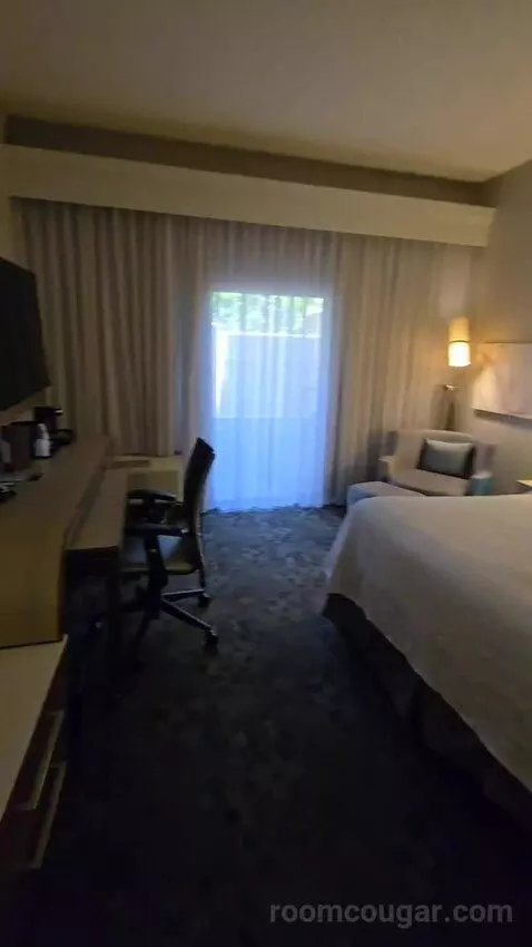 King Room, Accessible (#111) view picture #6