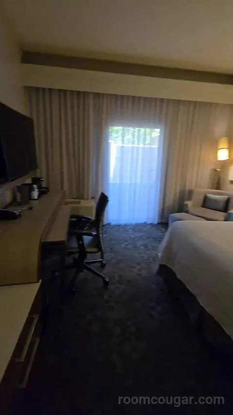 King Room, Accessible (#111) view picture #7