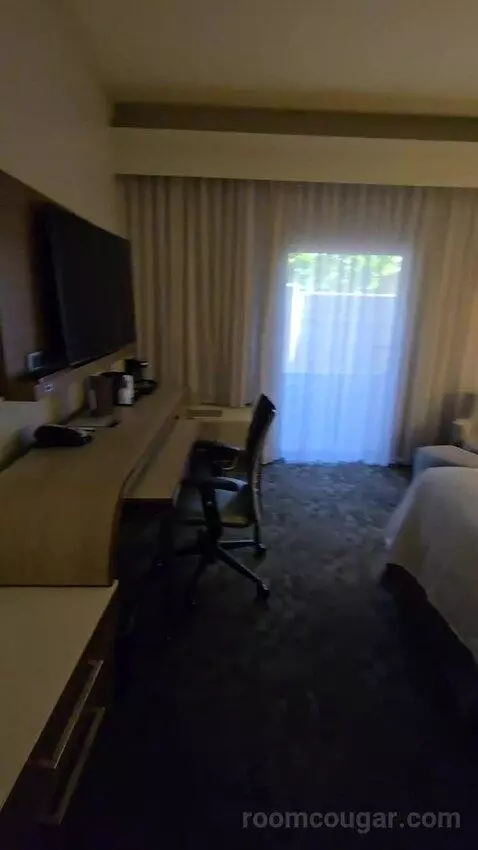 King Room, Accessible (#111) view picture #9