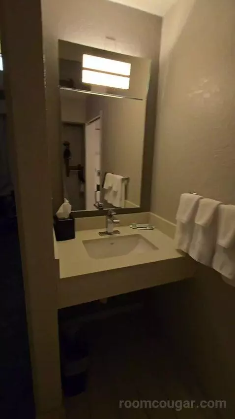 King Room, Accessible (#111) bathroom picture #1