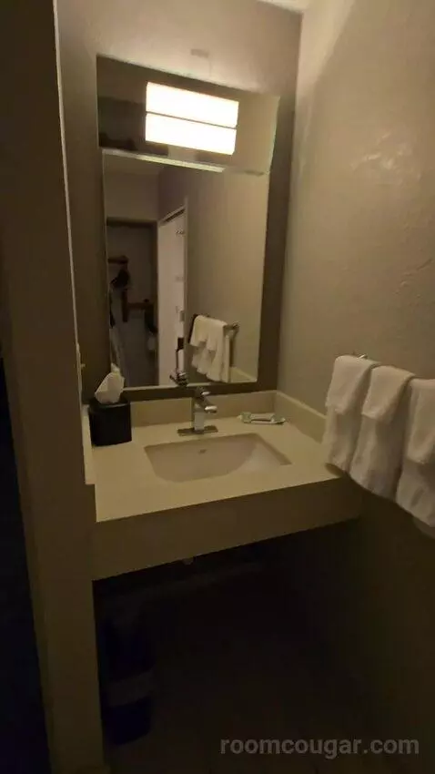 King Room, Accessible (#111) bathroom picture #2