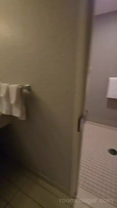 King Room, Accessible (#111) bathroom picture #3