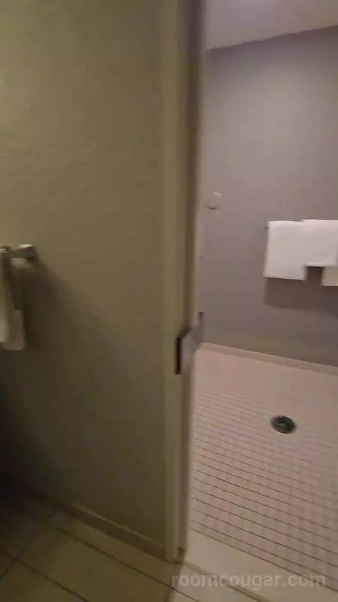 King Room, Accessible (#111) bathroom picture #4