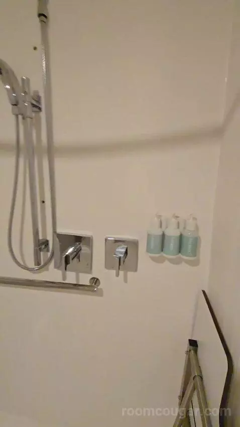 King Room, Accessible (#111) bathroom picture #7