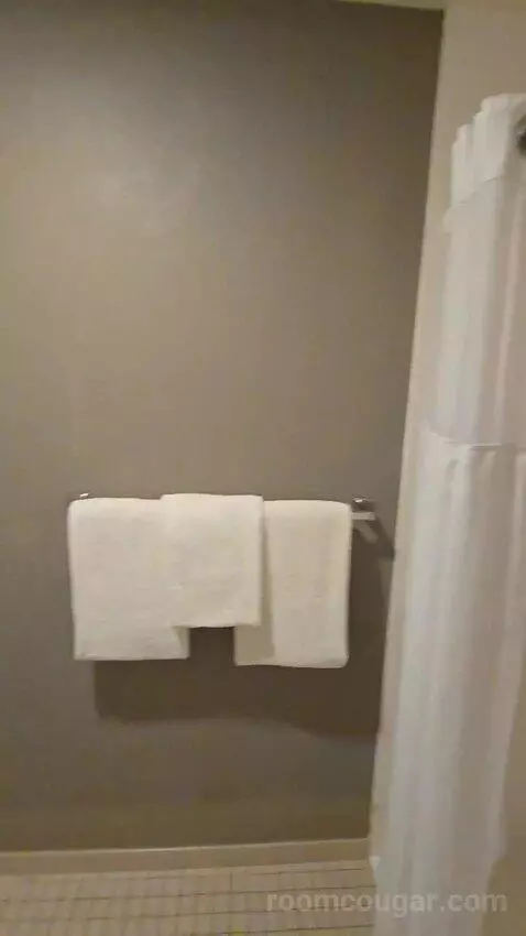 King Room, Accessible (#111) bathroom picture #9