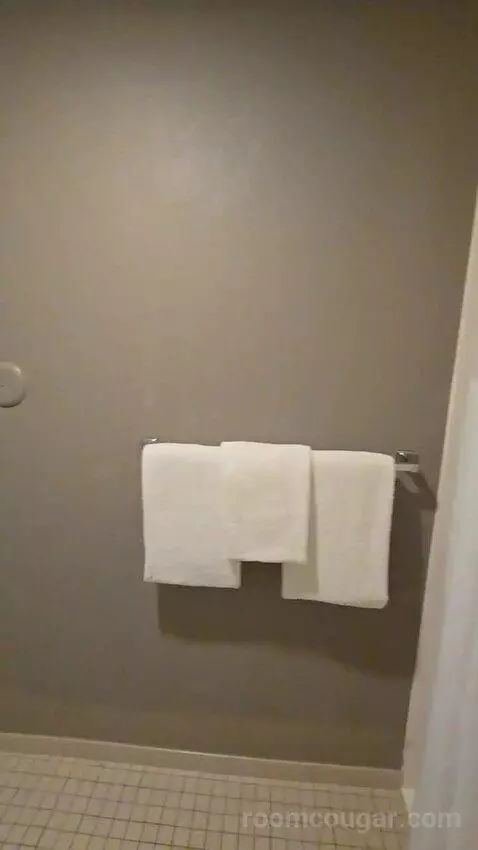 King Room, Accessible (#111) bathroom picture #10