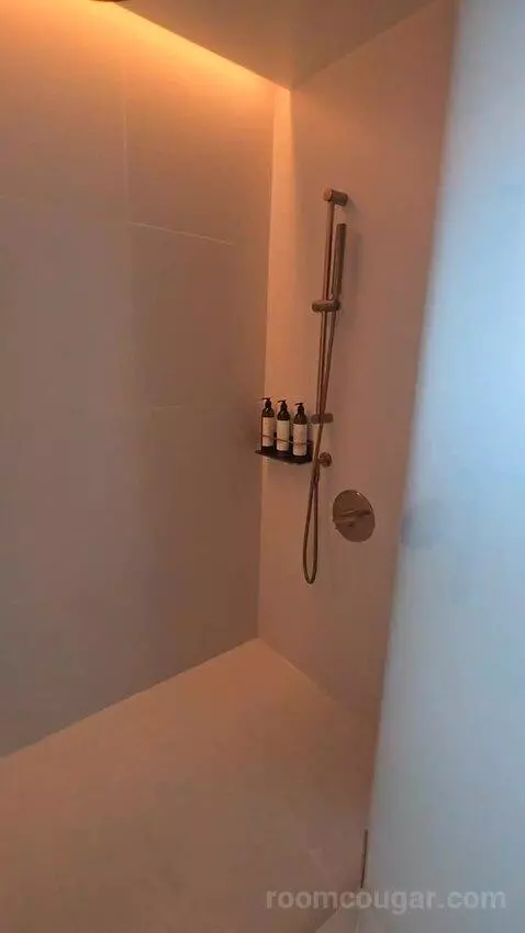 Deluxe One-Bedroom King Suite with Downtown View (#510) bathroom picture #6