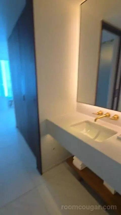 Deluxe One-Bedroom King Suite with Downtown View (#510) bathroom picture #11
