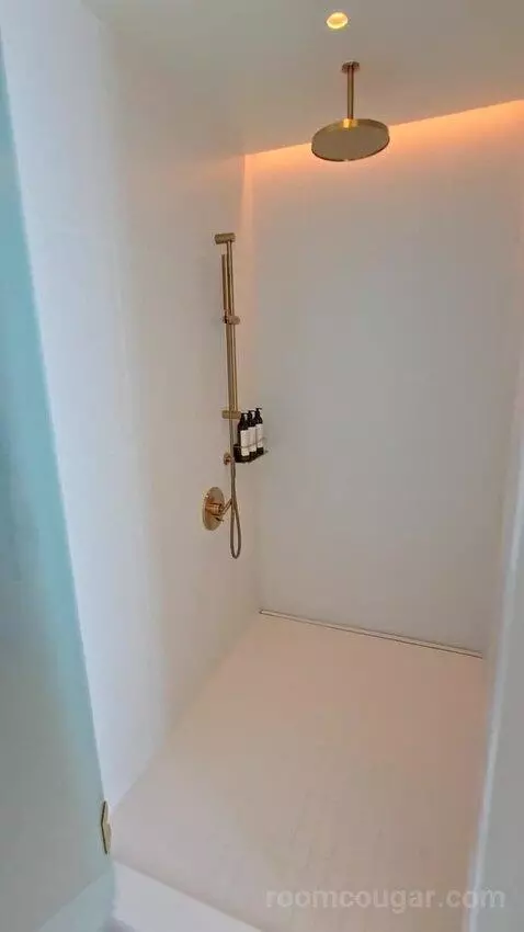 Penthouse King Room (#822) bathroom picture #1