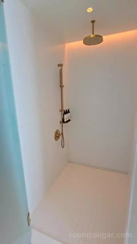 Penthouse King Room (#822) bathroom picture #2