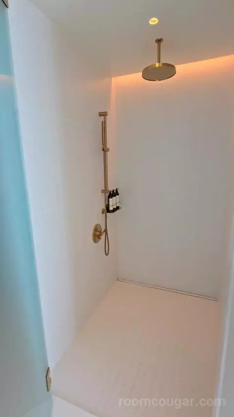 Penthouse King Room (#822) bathroom picture #3