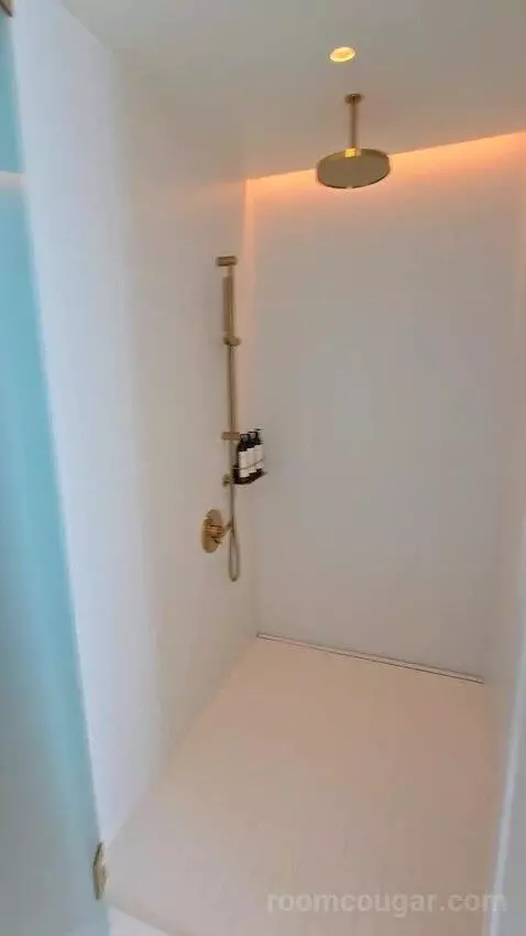 Penthouse King Room (#822) bathroom picture #4