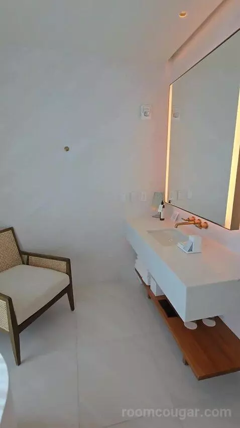 Penthouse King Room (#822) bathroom picture #5