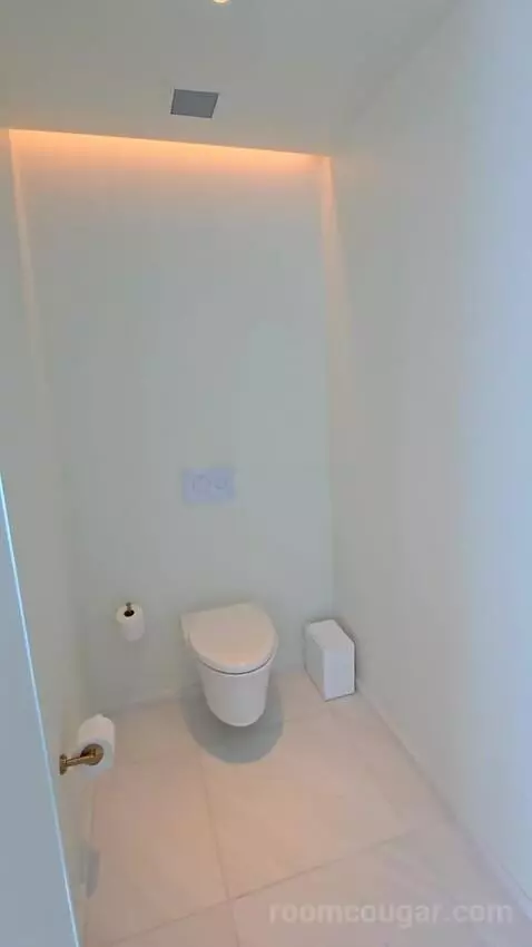Penthouse King Room (#822) bathroom picture #9