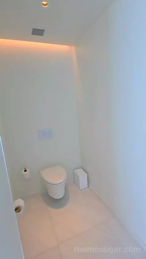 Penthouse King Room (#822) bathroom picture #11