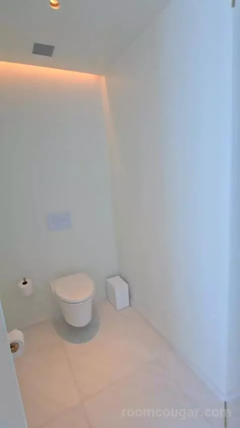 Penthouse King Room (#822) bathroom picture #12