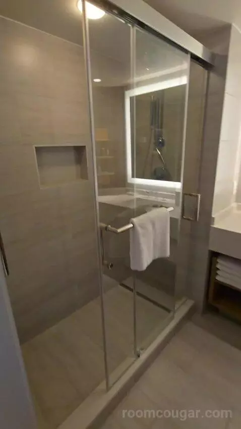 King Bed Water View (#1609) bathroom picture #1
