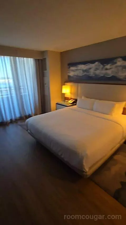 King Room with Roll-In Shower - Mobility Accessible (#1434) bed picture #3
