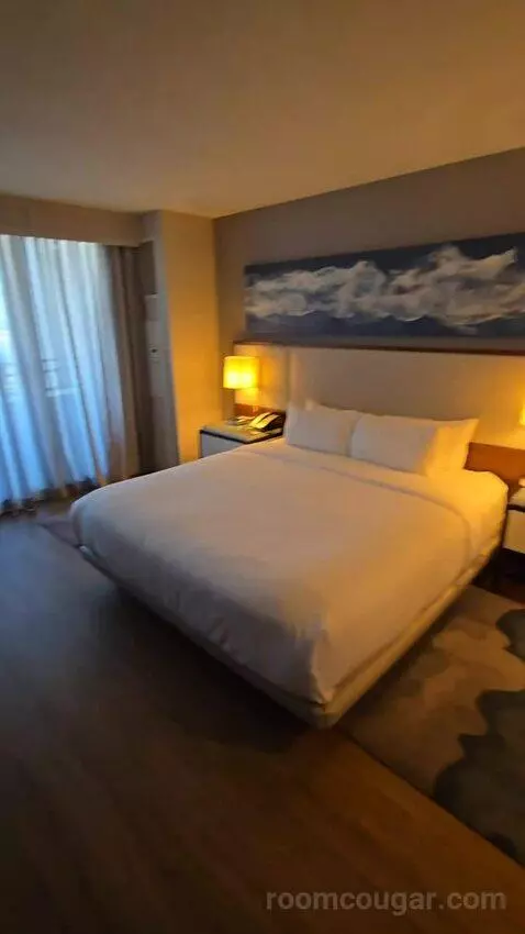 King Room with Roll-In Shower - Mobility Accessible (#1434) bed picture #4