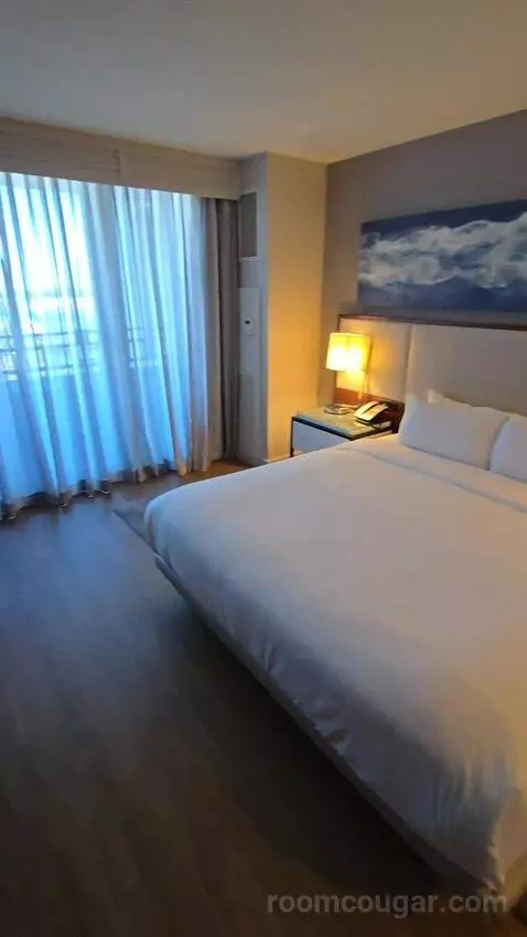 King Room with Roll-In Shower - Mobility Accessible (#1434) bed picture #5