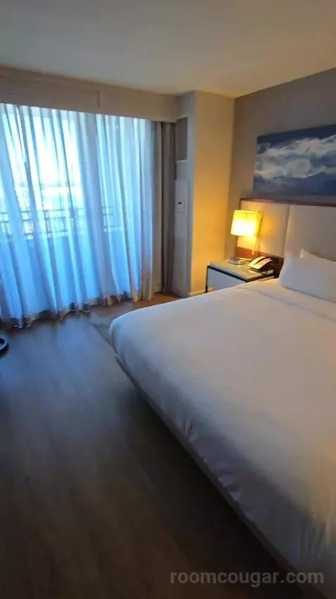 King Room with Roll-In Shower - Mobility Accessible (#1434) bed picture #6