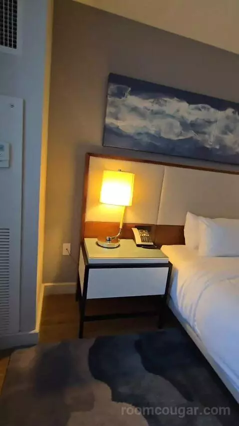 King Room with Roll-In Shower - Mobility Accessible (#1434) bed picture #7