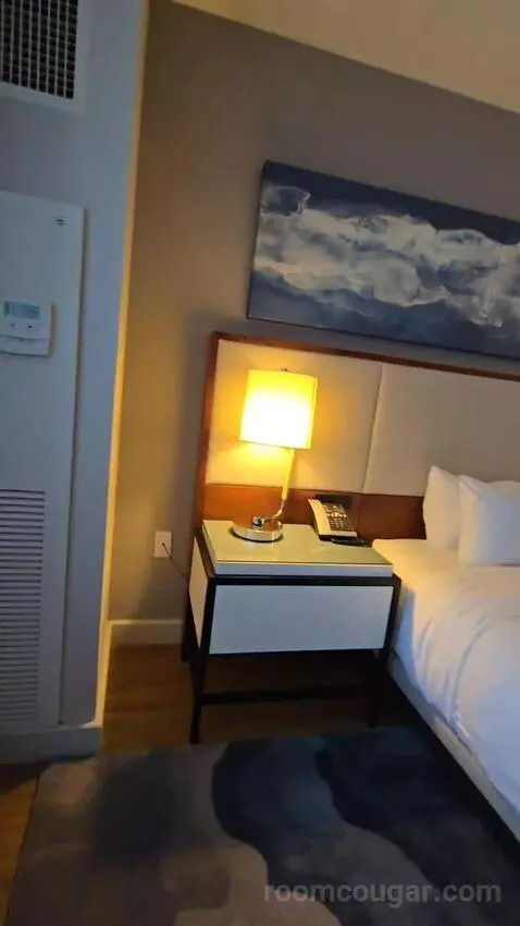 King Room with Roll-In Shower - Mobility Accessible (#1434) bed picture #8