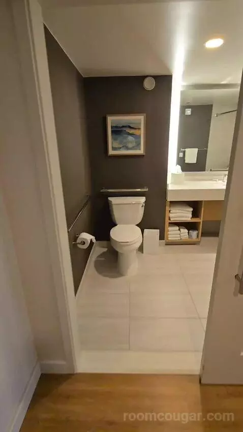 King Room with Roll-In Shower - Mobility Accessible (#1434) bathroom picture #1