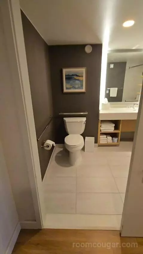 King Room with Roll-In Shower - Mobility Accessible (#1434) bathroom picture #2