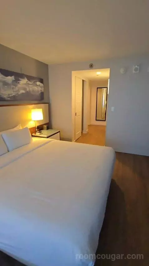 King Room with Roll-In Shower - Mobility Accessible (#1434) bed picture #9