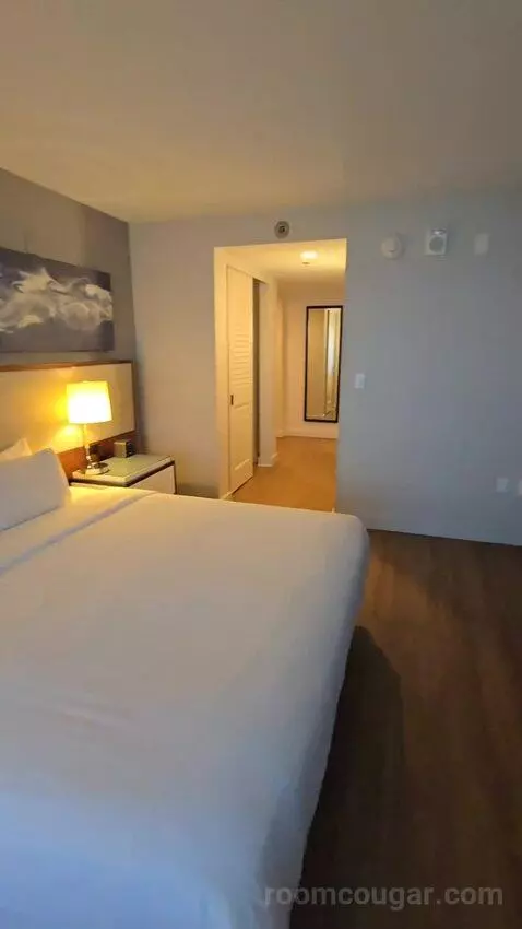 King Room with Roll-In Shower - Mobility Accessible (#1434) bed picture #10