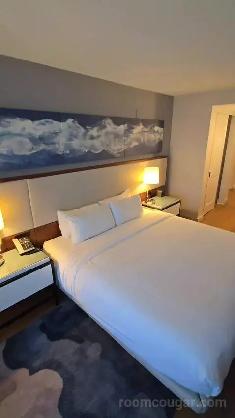 King Room with Roll-In Shower - Mobility Accessible (#1434) bed picture #11