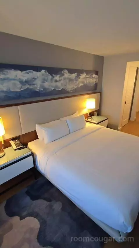 King Room with Roll-In Shower - Mobility Accessible (#1434) bed picture #12