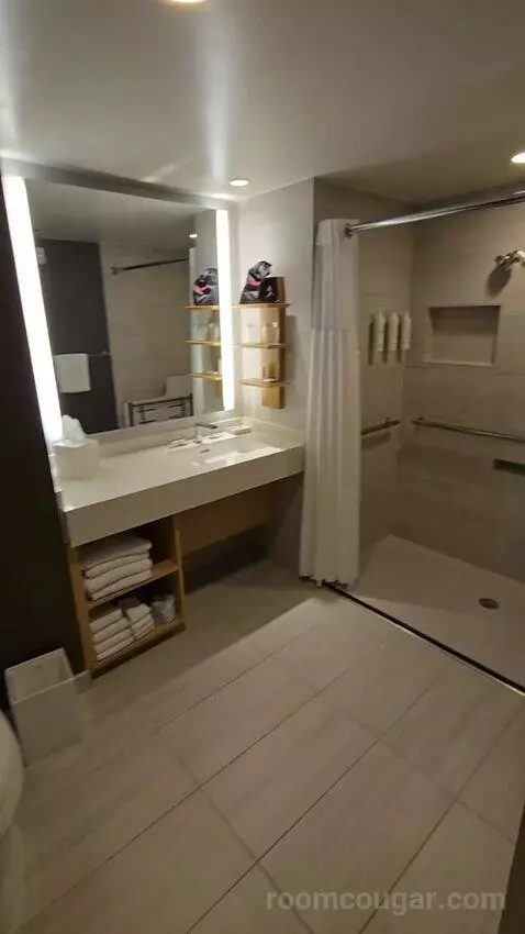 King Room with Roll-In Shower - Mobility Accessible (#1434) bathroom picture #3
