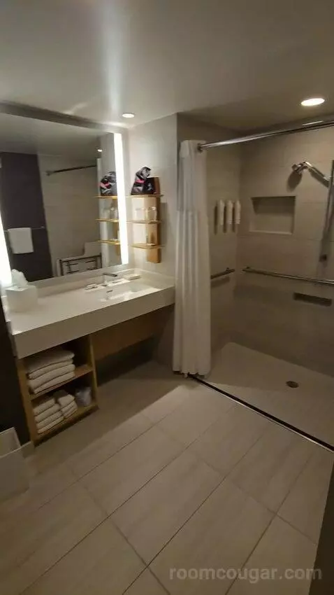 King Room with Roll-In Shower - Mobility Accessible (#1434) bathroom picture #4