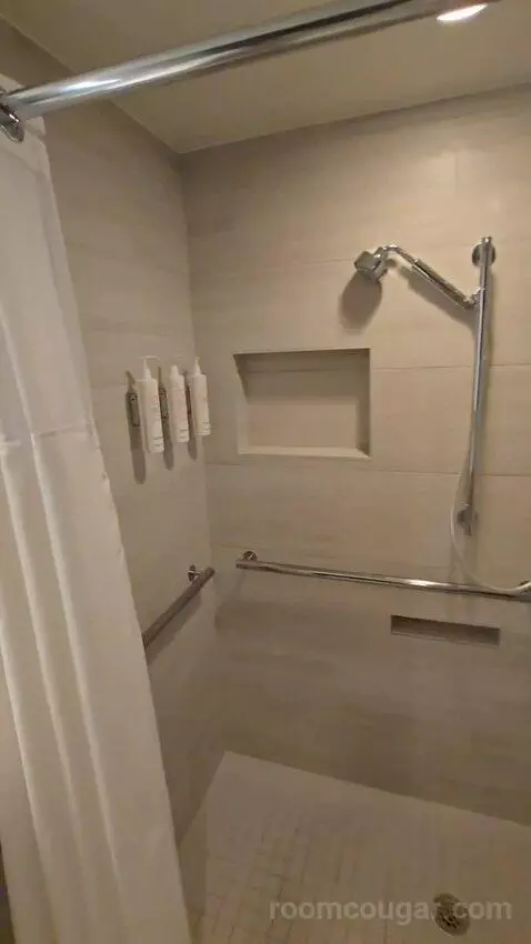 King Room with Roll-In Shower - Mobility Accessible (#1434) bathroom picture #5