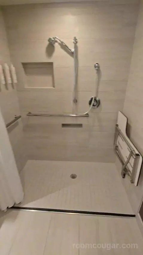 King Room with Roll-In Shower - Mobility Accessible (#1434) bathroom picture #9