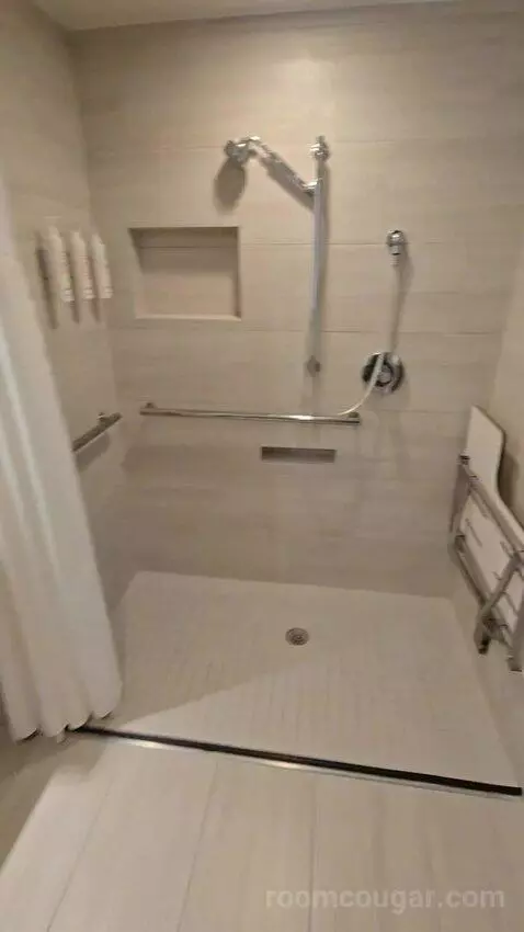 King Room with Roll-In Shower - Mobility Accessible (#1434) bathroom picture #10