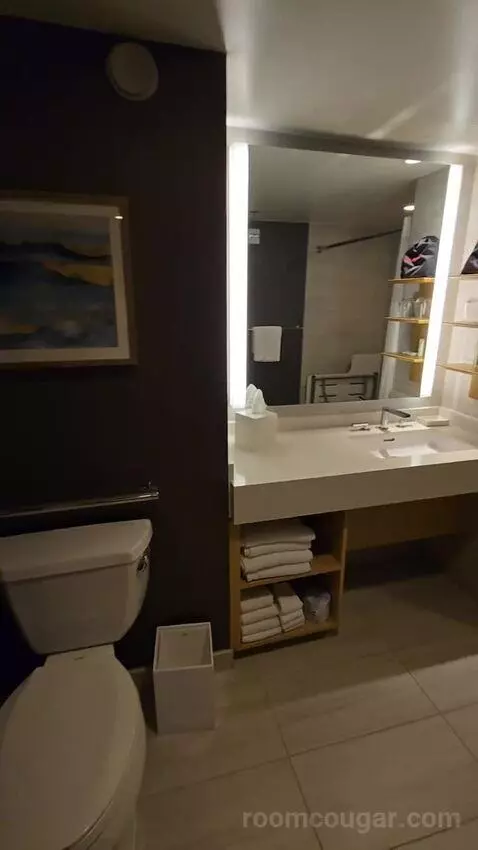 King Room with Roll-In Shower - Mobility Accessible (#1434) bathroom picture #11