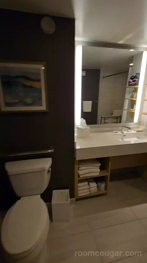 King Room with Roll-In Shower - Mobility Accessible (#1434) bathroom picture #12