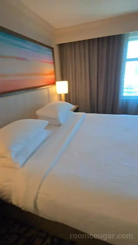 Two Room King Suite (#1516) bed picture #2
