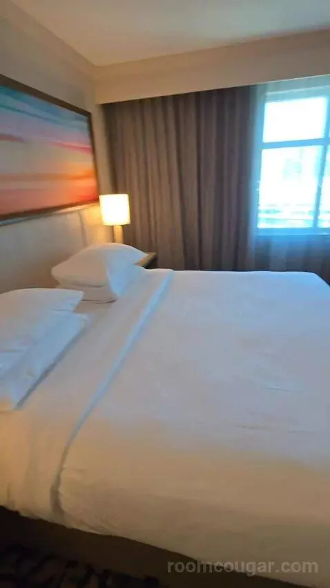 Two Room King Suite (#1516) bed picture #3