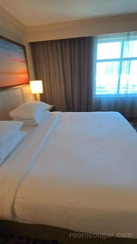 Two Room King Suite (#1516) bed picture #4