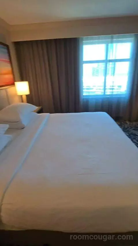 Two Room King Suite (#1516) bed picture #5