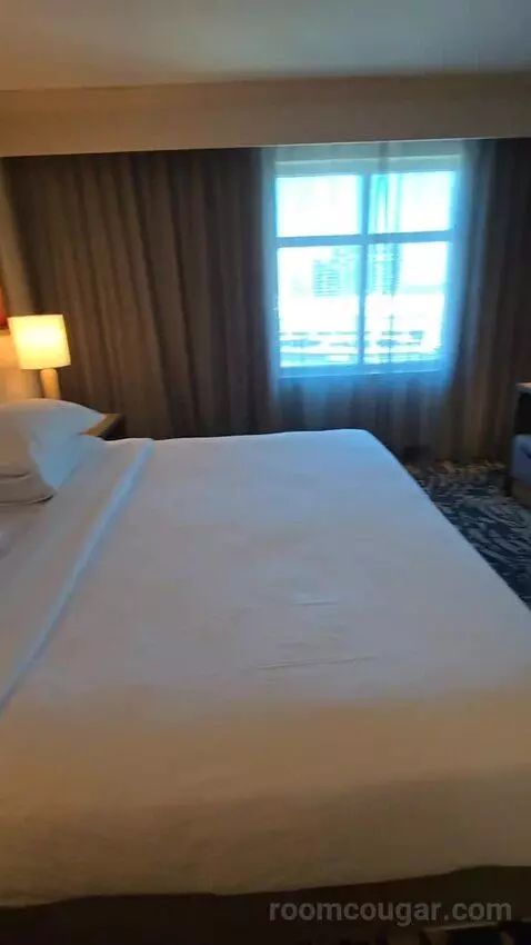 Two Room King Suite (#1516) bed picture #6