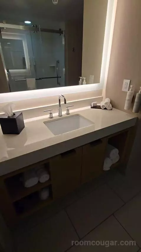 Two Room King Suite (#1516) bathroom picture #5