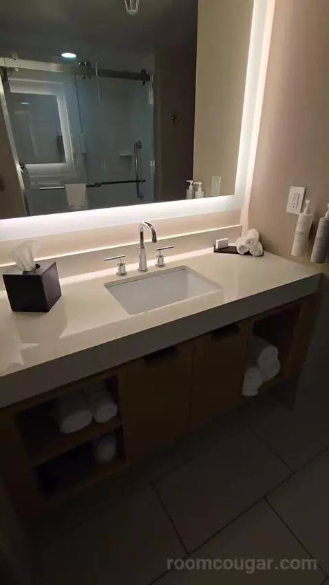 Two Room King Suite (#1516) bathroom picture #6