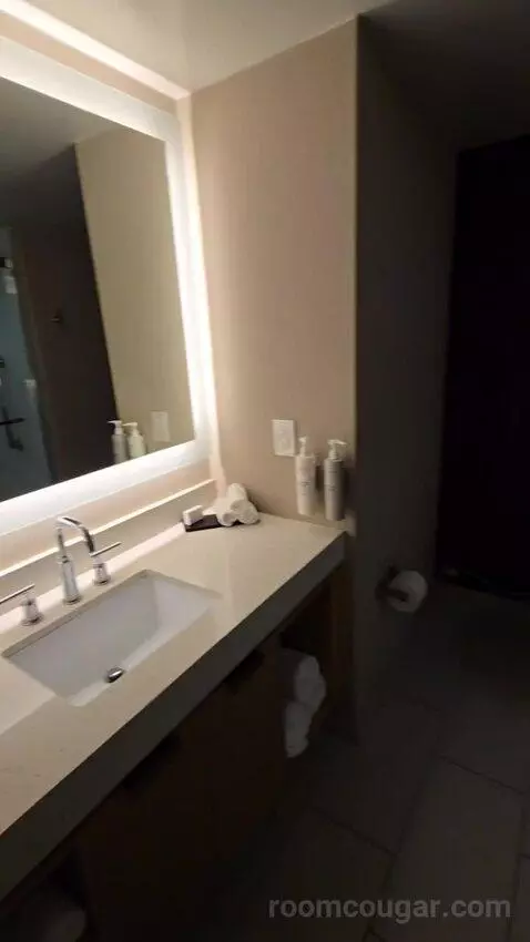 Two Room King Suite (#1516) bathroom picture #7