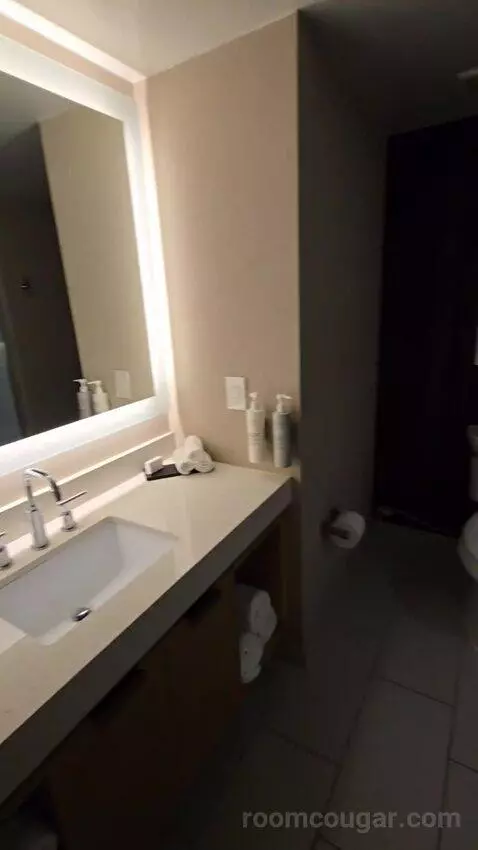 Two Room King Suite (#1516) bathroom picture #8