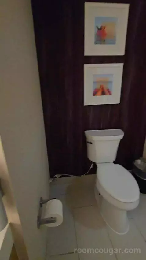Two Room King Suite (#1516) bathroom picture #10